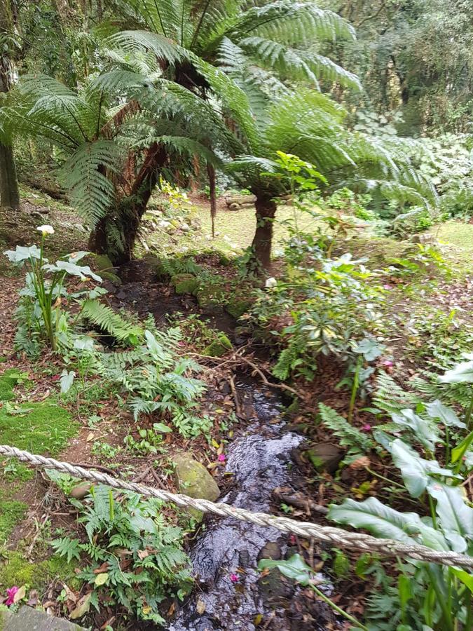 Aconchego No Lago Negro - 6 Pessoas Gramado Dış mekan fotoğraf